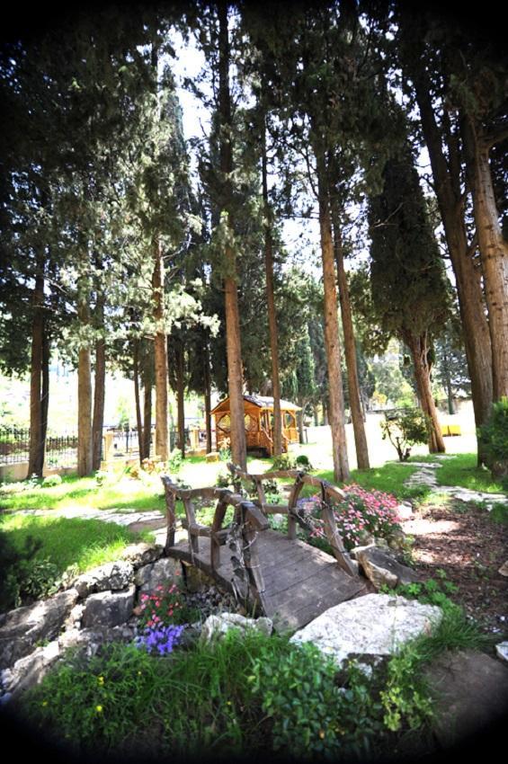 Lazurniy Bereg Hotel Gagra Luaran gambar